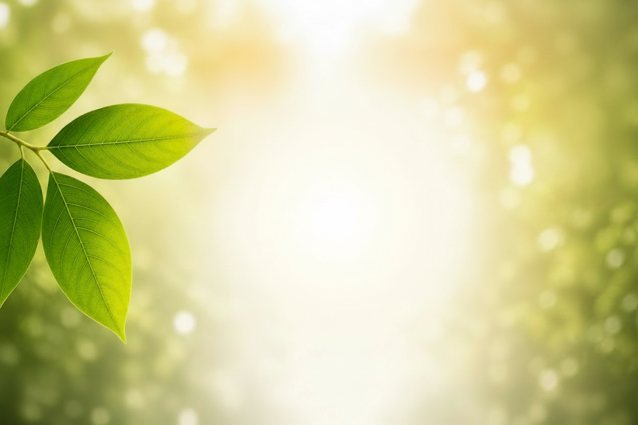 Sallaki – Premium Boswellia Serrata Produkte für dein Wohlbefinden. Entdecke hochwertige Tabletten, Weihrauchharz, Salbe und Öl – inspiriert vom Ayurveda, naturrein und mit Fokus auf Qualität.